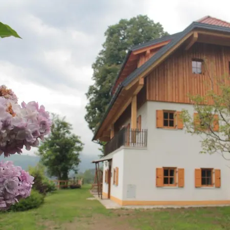 Holiday home Kreinzhuabn Mittertrixen