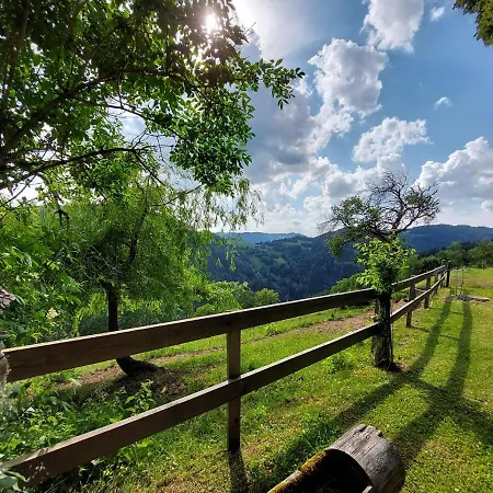 Kreinzhuabn Holiday home Mittertrixen